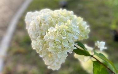 IMG-20220830-WA0068
