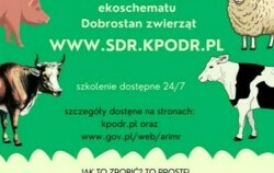 Zdjęcie do Kujawsko-Pomorski Ośrodek Doradztwa Rolniczego...