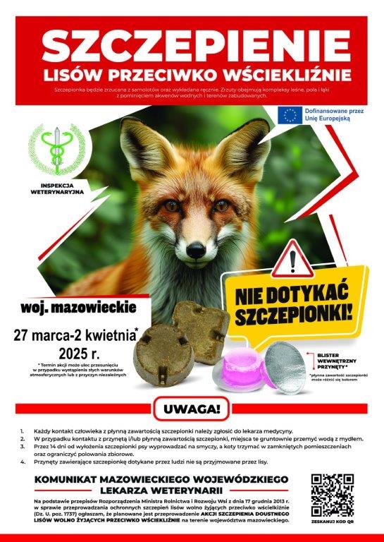 20250326_szczepnienie_lisow_przeciw_wsciekliznie__1_