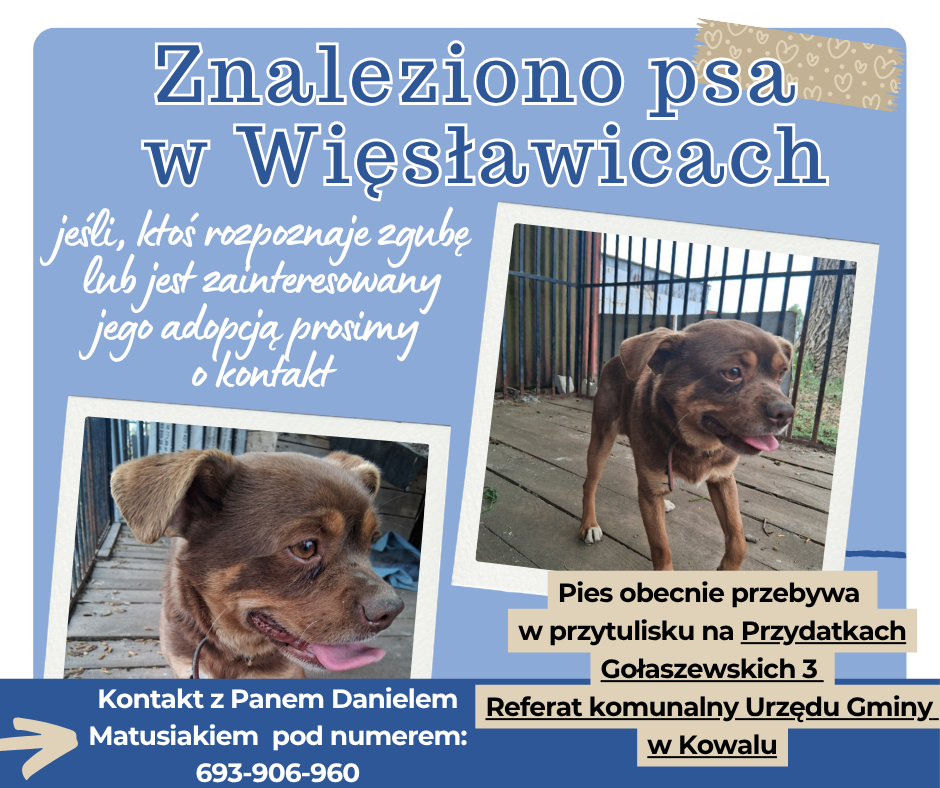 Adopcja_Psa
