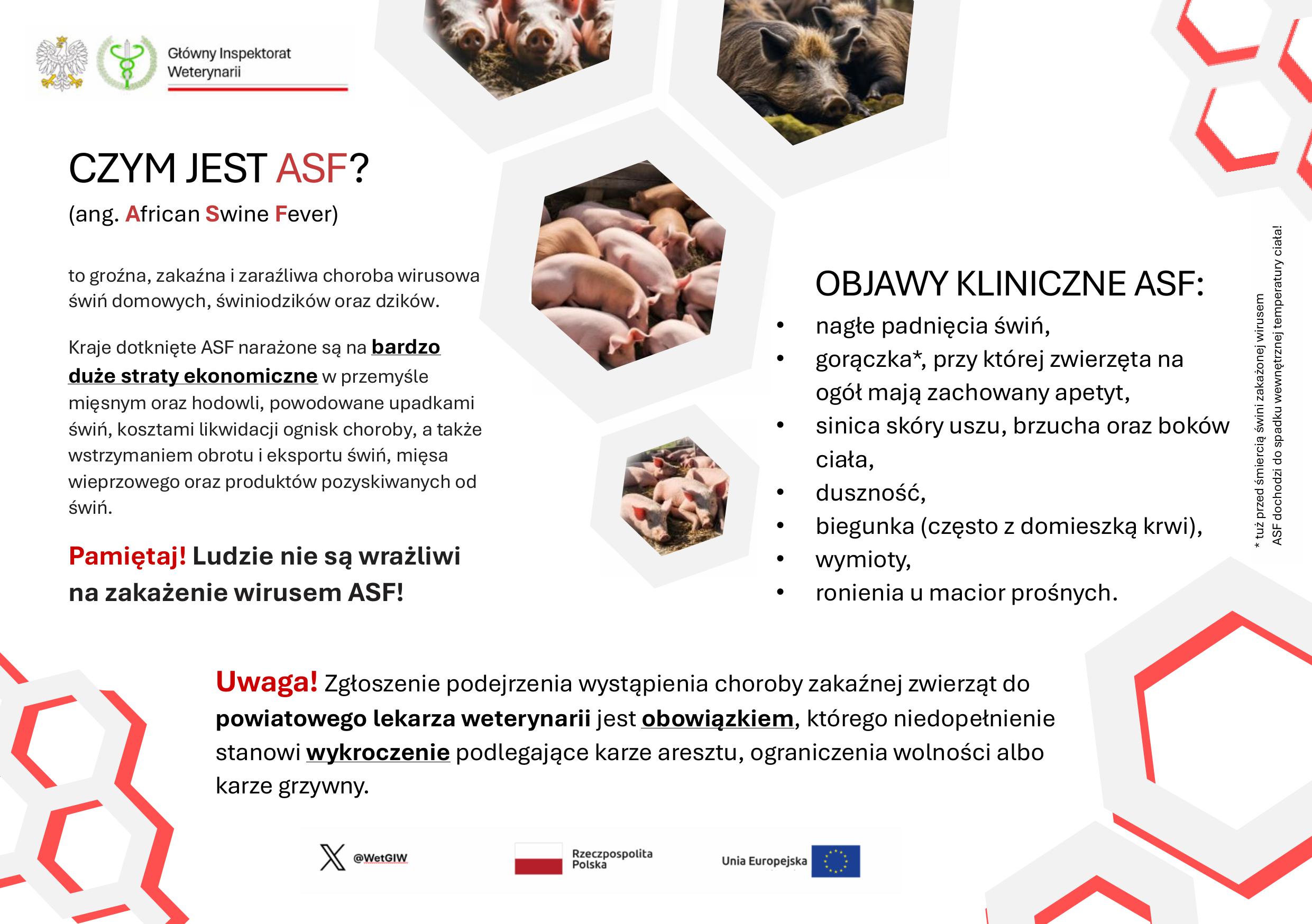 Czym_jest_ASF_GIW