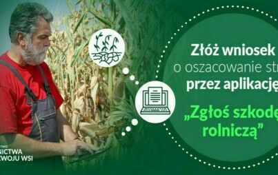 Zdjęcie do Informacja dotycząca szacowania strat spowodowanych suszą w 2024 r.