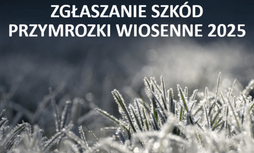 Zdjęcie do Komunikat dla rolnik&oacute;w poszkodowanych niekorzystnym zjawiskiem atmosferycznym &ndash; przymrozki wiosenne 2026