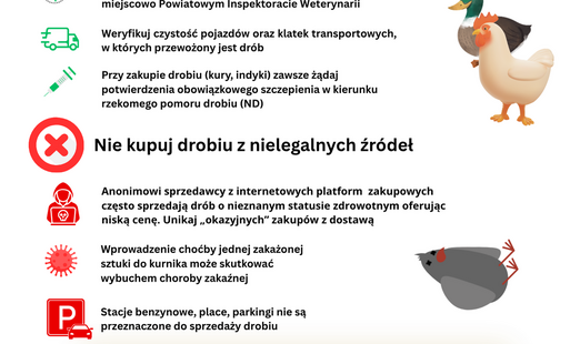 Zdjęcie do Kupujesz dr&oacute;b z nielegalnych źr&oacute;deł? Ryzykujesz więcej niż myślisz!