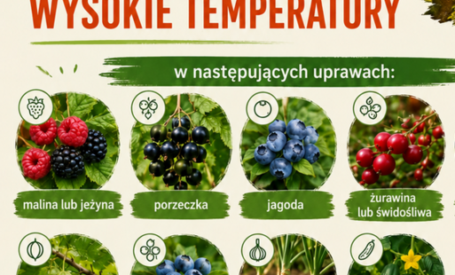 Zdjęcie do Zgłaszanie szk&oacute;d w uprawach rolnych spowodowanych wysokimi temperaturami