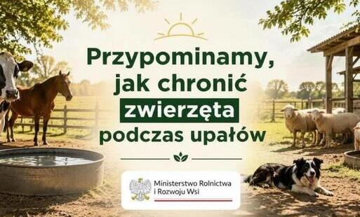 Zdjęcie do Informacja dla posiadaczy zwierząt - Jak chronić zwierzęta przed wysokimi temperaturami?