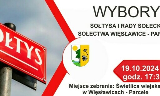 Zdjęcie do Wybory sołeckie w Więsławicach - Parcele