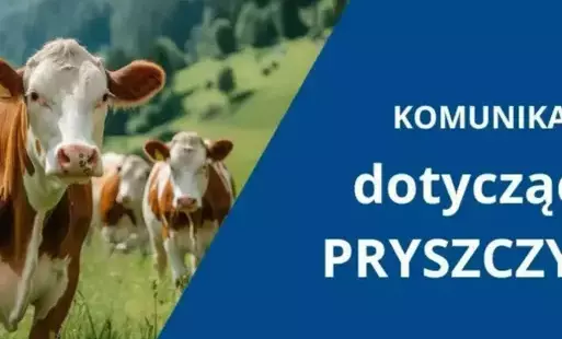 Zdjęcie do Uwaga, pryszczyca