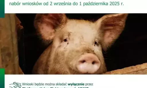Zdjęcie do Inwestycje zapobiegające rozprzestrzenianiu się ASF - wkr&oacute;tce start naboru