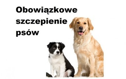 Zdjęcie do Szczepienie ps&oacute;w - informacja