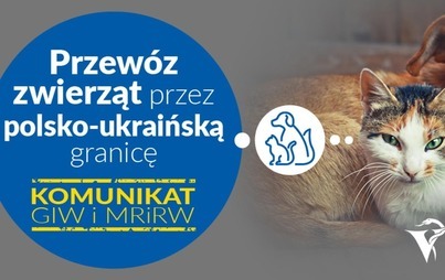 Zdjęcie do Informacja dla os&oacute;b przemieszczających się z Ukrainy ze zwierzętami