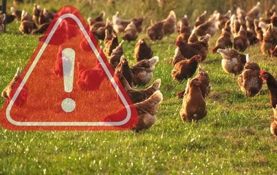 Zdjęcie do Ważny komunikat