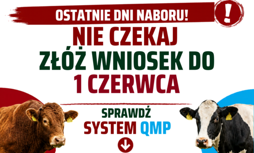 Zdjęcie do Ekoschemat &bdquo;Dobrostan zwierząt&rdquo; Dodatkowe pieniądze dla hodowc&oacute;w z QMP &ndash; tylko do 1 czerwca!