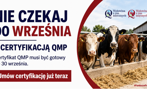 Certyfikacja QMP