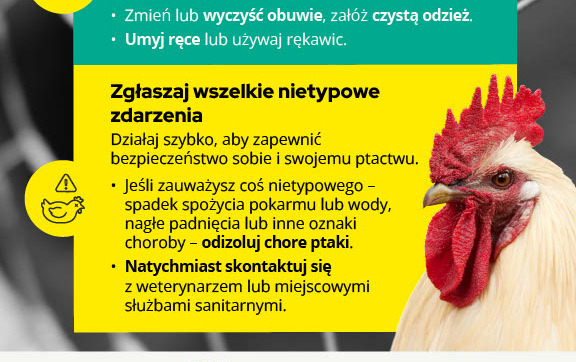 Zalecenia bioasekuracji przeciwko ptasiej grypie w gminie Kowal